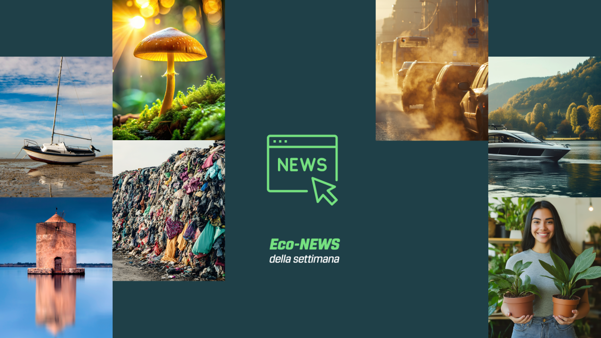 Eco-News 24 Febbraio 2025