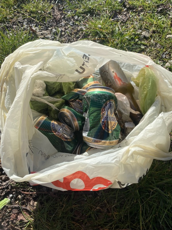 Barbiano di Felino (Parma)