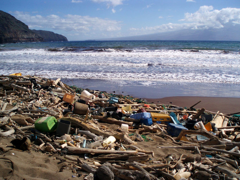 dechets plage 768x576